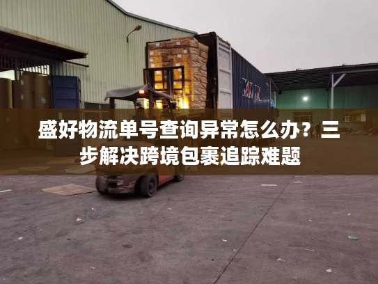 盛好物流单号查询异常怎么办？三步解决跨境包裹追踪难题