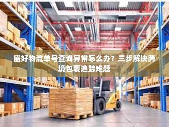 盛好物流单号查询异常怎么办？三步解决跨境包裹追踪难题