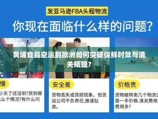 黄埔食品空运到欧洲如何突破保鲜时效与清关瓶颈? 黄埔食品空运到欧洲如何突破保鲜时效与清关瓶颈?