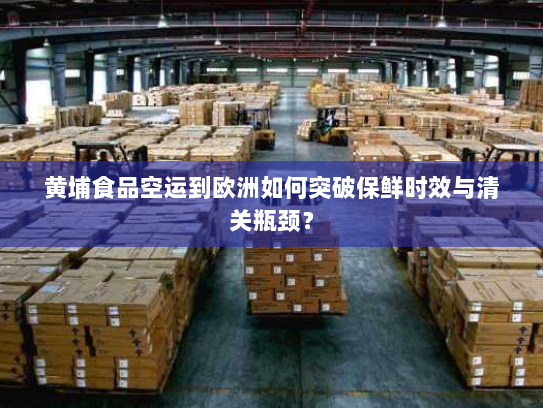 黄埔食品空运到欧洲如何突破保鲜时效与清关瓶颈? 黄埔食品空运到欧洲如何突破保鲜时效与清关瓶颈?