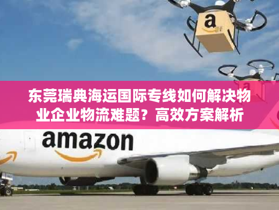 东莞瑞典海运国际专线如何解决物业企业物流难题？高效方案解析