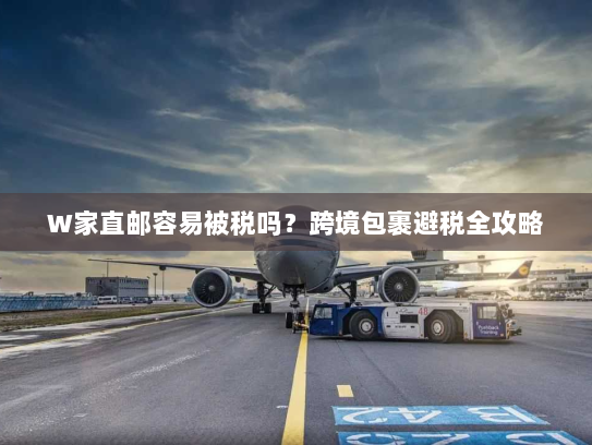 W家直邮容易被税吗?跨境包裹避税全攻略 W家直邮容易被税吗?跨境包裹避税全攻略