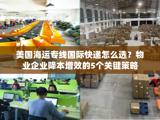 美国海运专线国际快递怎么选?物业企业降本增效的5个关键策略 美国海运专线国际快递怎么选?物业企业降本增效的5个关键策略