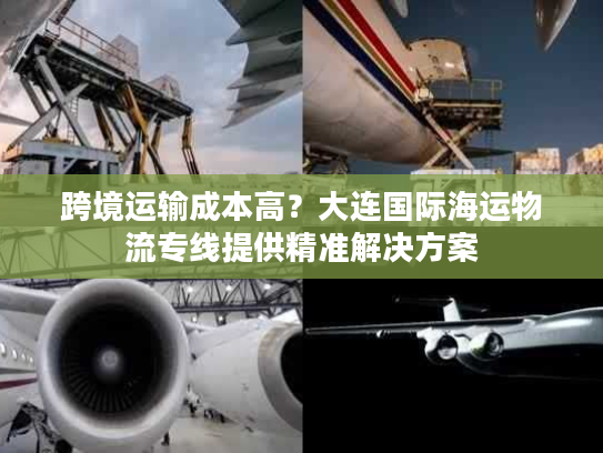 跨境运输成本高?大连国际海运物流专线提供精准解决方案 跨境运输成本高?大连国际海运物流专线提供精准解决方案