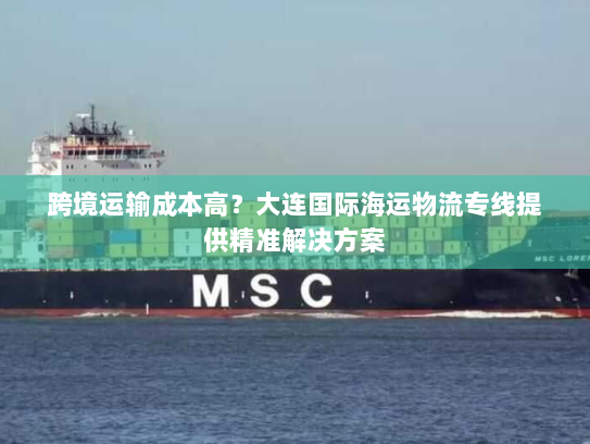 跨境运输成本高？大连国际海运物流专线提供精准解决方案