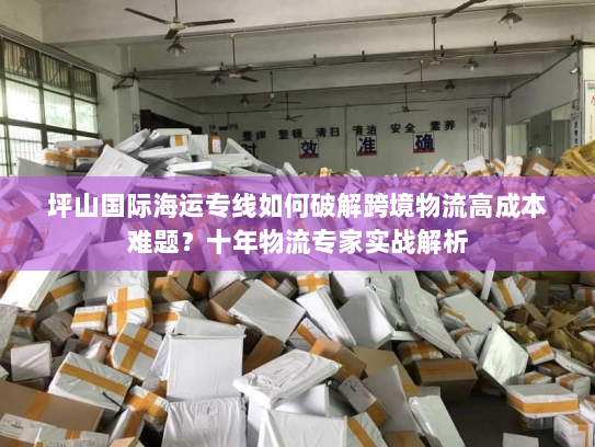 坪山国际海运专线如何破解跨境物流高成本难题?十年物流专家实战解析 坪山国际海运专线如何破解跨境物流高成本难题?十年物流专家实战解析