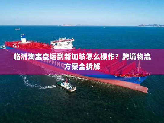 临沂淘宝空运到新加坡怎么操作？跨境物流方案全拆解