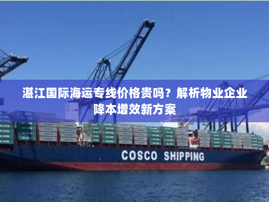 湛江国际海运专线价格贵吗?解析物业企业降本增效新方案 湛江国际海运专线价格贵吗?解析物业企业降本增效新方案