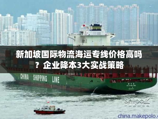 新加坡国际物流海运专线价格高吗？企业降本3大实战策略