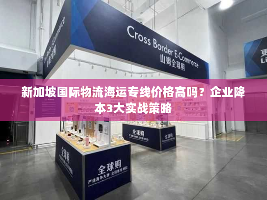 新加坡国际物流海运专线价格高吗?企业降本3大实战策略 新加坡国际物流海运专线价格高吗?企业降本3大实战策略