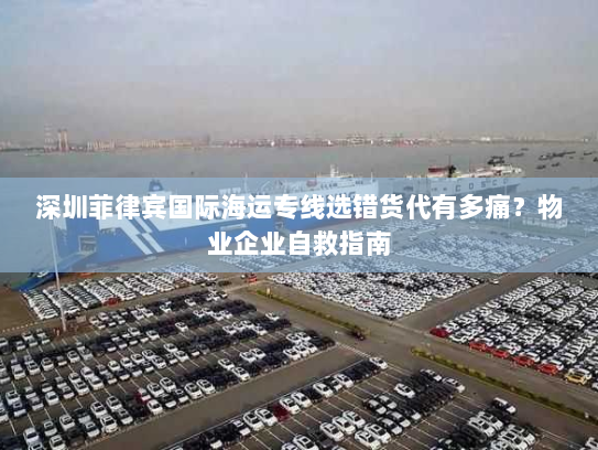 深圳菲律宾国际海运专线选错货代有多痛?物业企业自救指南 深圳菲律宾国际海运专线选错货代有多痛?物业企业自救指南