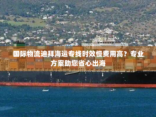 国际物流迪拜海运专线时效慢费用高？专业方案助您省心出海