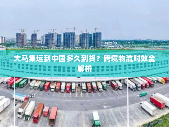 大马集运到中国多久到货?跨境物流时效全解析 大马集运到中国多久到货?跨境物流时效全解析