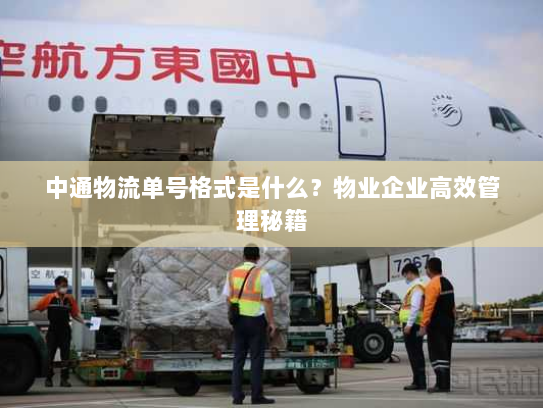 中通物流单号格式是什么?物业企业高效管理秘籍 中通物流单号格式是什么?物业企业高效管理秘籍
