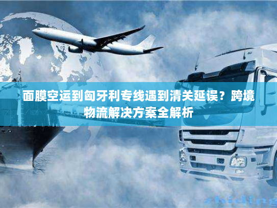 面膜空运到匈牙利专线遇到清关延误？跨境物流解决方案全解析