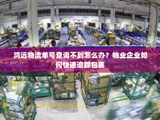 鸿远物流单号查询不到怎么办?物业企业如何快速追踪包裹 鸿远物流单号查询不到怎么办?物业企业如何快速追踪包裹