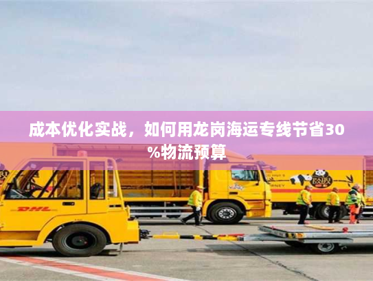 成本优化实战,如何用龙岗海运专线节省30%物流预算 成本优化实战,如何用龙岗海运专线节省30%物流预算