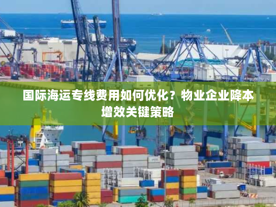 国际海运专线费用如何优化？物业企业降本增效关键策略