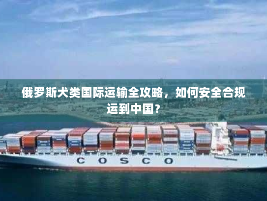 俄罗斯犬类国际运输全攻略,如何安全合规运到中国? 俄罗斯犬类国际运输全攻略,如何安全合规运到中国?