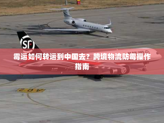 霉运如何转运到中国去？跨境物流防霉操作指南