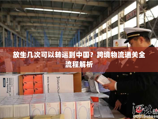 放生几次可以转运到中国?跨境物流通关全流程解析 放生几次可以转运到中国?跨境物流通关全流程解析