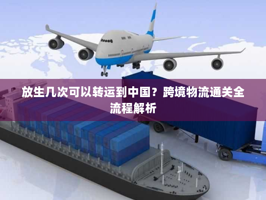 放生几次可以转运到中国?跨境物流通关全流程解析 放生几次可以转运到中国?跨境物流通关全流程解析