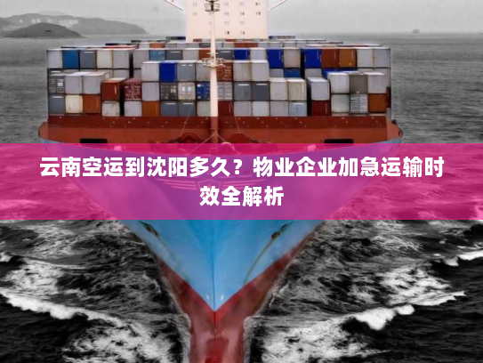 云南空运到沈阳多久？物业企业加急运输时效全解析