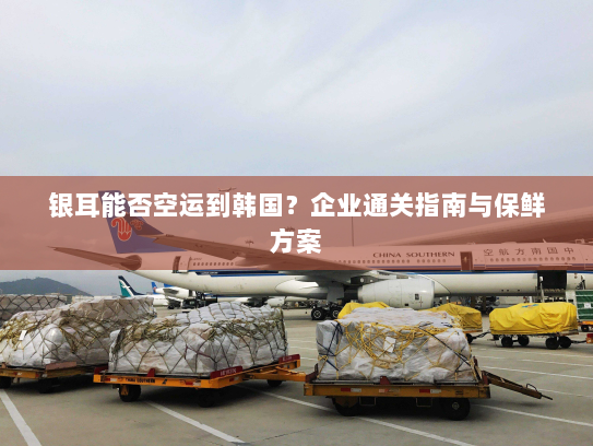 银耳能否空运到韩国？企业通关指南与保鲜方案