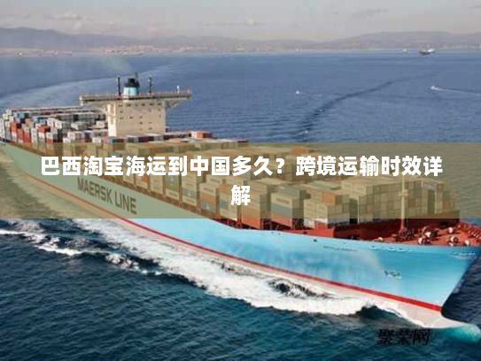 巴西淘宝海运到中国多久?跨境运输时效详解 巴西淘宝海运到中国多久?跨境运输时效详解