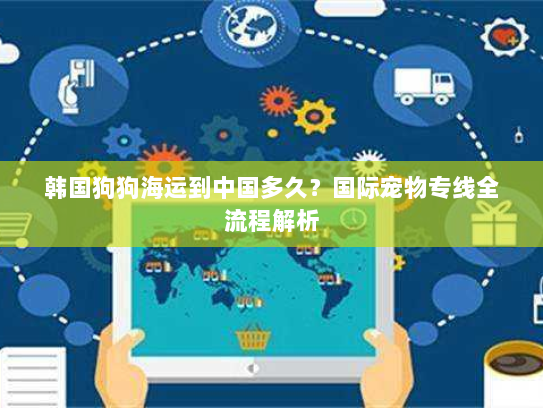 韩国狗狗海运到中国多久？国际宠物专线全流程解析