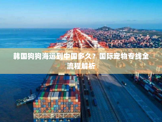 韩国狗狗海运到中国多久？国际宠物专线全流程解析