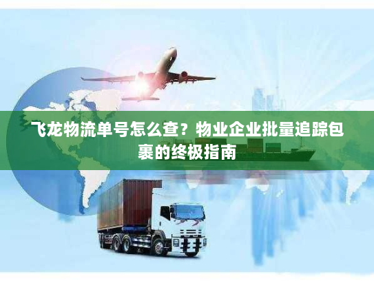 飞龙物流单号怎么查？物业企业批量追踪包裹的终极指南