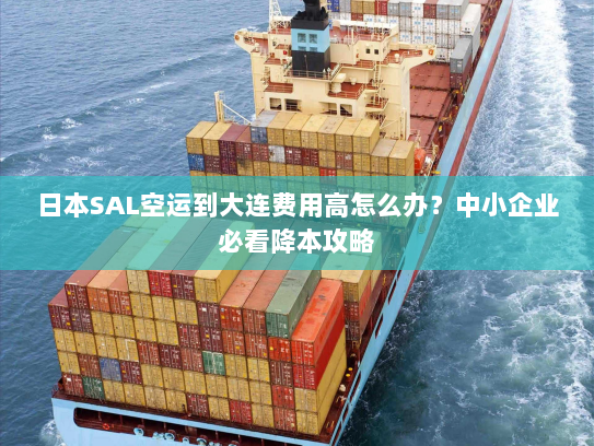 日本SAL空运到大连费用高怎么办?中小企业必看降本攻略 日本SAL空运到大连费用高怎么办?中小企业必看降本攻略
