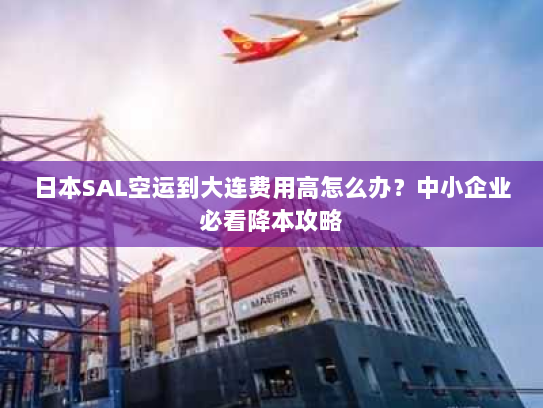 日本SAL空运到大连费用高怎么办?中小企业必看降本攻略 日本SAL空运到大连费用高怎么办?中小企业必看降本攻略