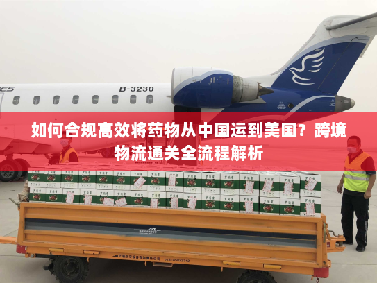 如何合规高效将药物从中国运到美国？跨境物流通关全流程解析