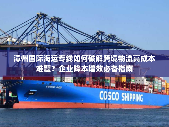 漳州国际海运专线如何破解跨境物流高成本难题?企业降本增效必备指南 漳州国际海运专线如何破解跨境物流高成本难题?企业降本增效必备指南