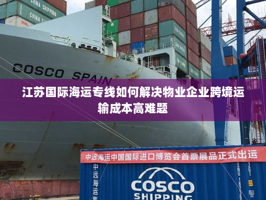 江苏国际海运专线如何解决物业企业跨境运输成本高难题 江苏国际海运专线如何解决物业企业跨境运输成本高难题