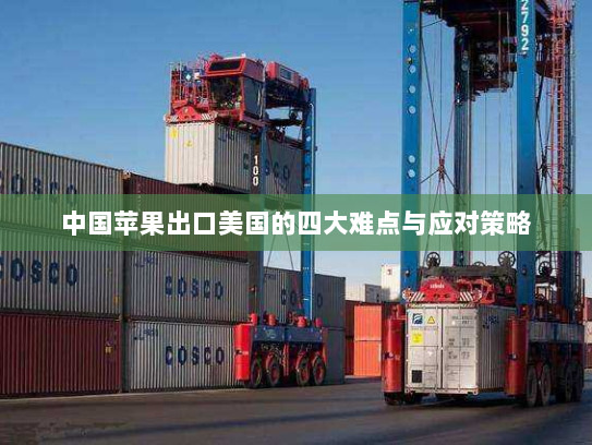 中国苹果出口美国的四大难点与应对策略 中国苹果出口美国的四大难点与应对策略