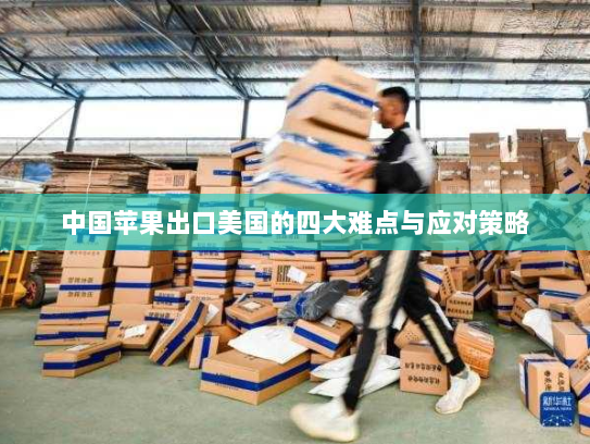中国苹果出口美国的四大难点与应对策略 中国苹果出口美国的四大难点与应对策略