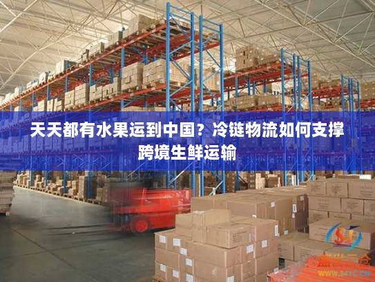 天天都有水果运到中国?冷链物流如何支撑跨境生鲜运输 天天都有水果运到中国?冷链物流如何支撑跨境生鲜运输