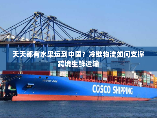 天天都有水果运到中国?冷链物流如何支撑跨境生鲜运输 天天都有水果运到中国?冷链物流如何支撑跨境生鲜运输