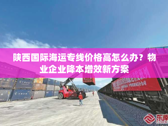 陕西国际海运专线价格高怎么办？物业企业降本增效新方案