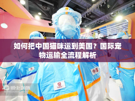 如何把中国猫咪运到美国？国际宠物运输全流程解析
