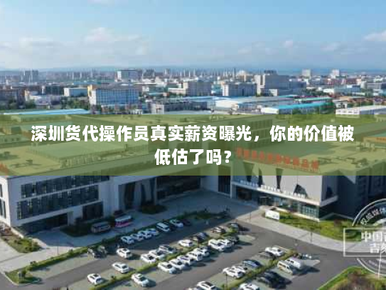 深圳货代操作员真实薪资曝光,你的价值被低估了吗? 深圳货代操作员真实薪资曝光,你的价值被低估了吗?