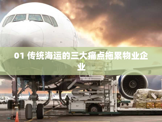 01 传统海运的三大痛点拖累物业企业 01 传统海运的三大痛点拖累物业企业