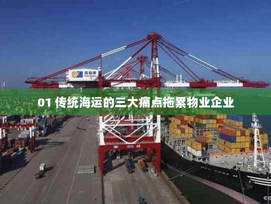 01 传统海运的三大痛点拖累物业企业