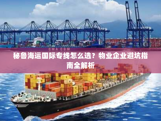 秘鲁海运国际专线怎么选?物业企业避坑指南全解析 秘鲁海运国际专线怎么选?物业企业避坑指南全解析