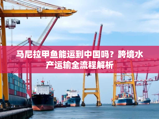 马尼拉甲鱼能运到中国吗？跨境水产运输全流程解析