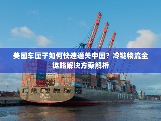 美国车厘子如何快速通关中国？冷链物流全链路解决方案解析