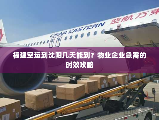 福建空运到沈阳几天能到?物业企业急需的时效攻略 福建空运到沈阳几天能到?物业企业急需的时效攻略
